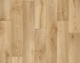 [700111305_17] Strong Plus - Willow Oak 602L